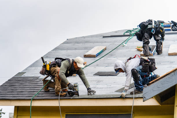 Professional Gutter Installation technician working in Dundas, MN